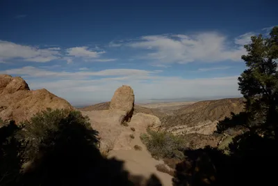 DSC_6290 (Large).JPG